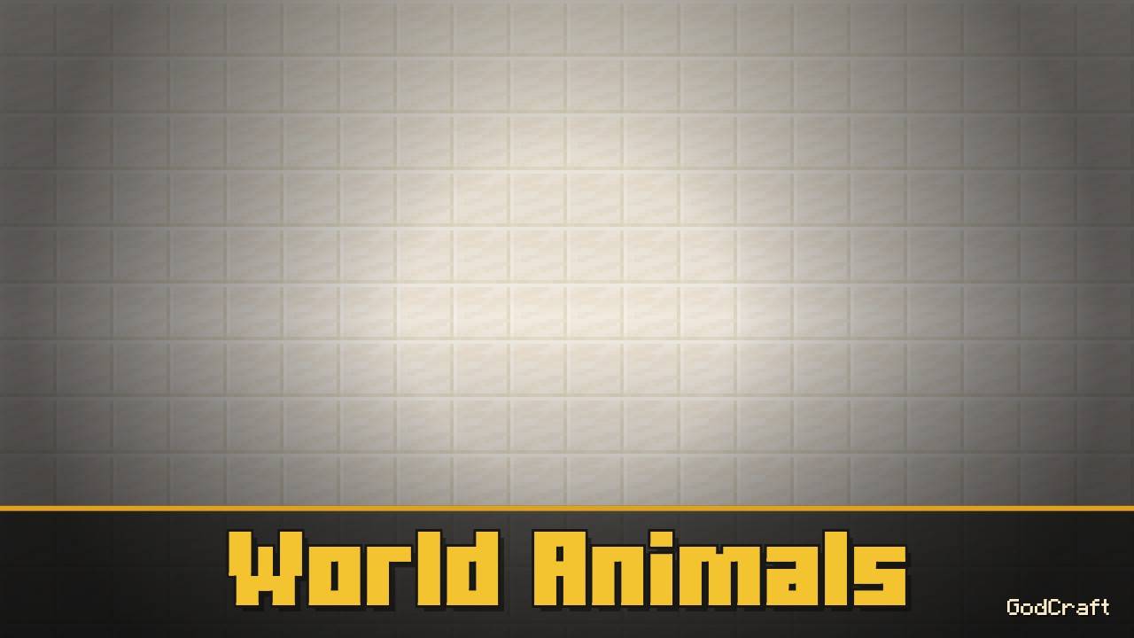 World Animals